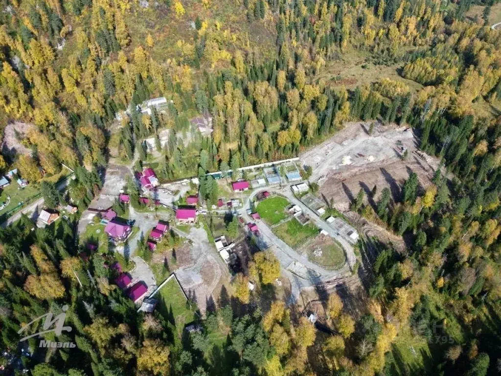 Участок в Алтай, Турочакский район, с. Артыбаш  (200.0 сот.) - Фото 1