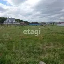 Участок в Красноярский край, Сосновоборский муниципальный округ, д. ... - Фото 2