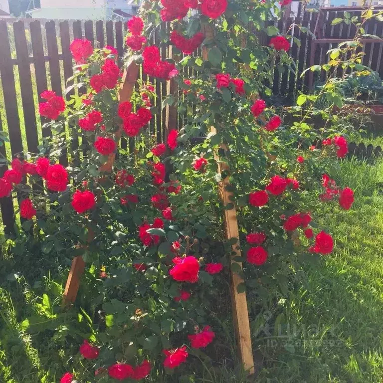 Таунхаус в Нижегородская область, Богородский муниципальный округ, с. ... - Фото 1