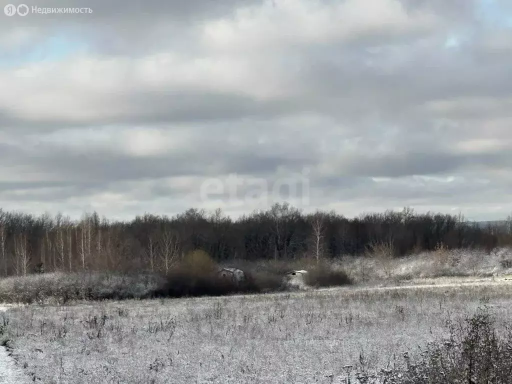 Участок в Саранск, садоводческое товарищество Буревестник (4 м) - Фото 2