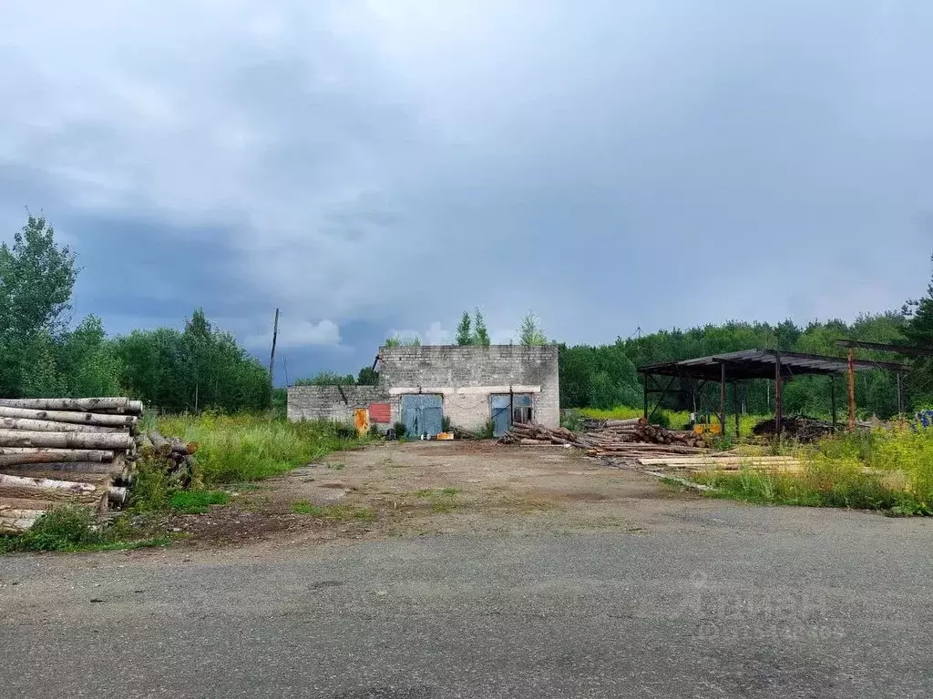 Склад в Свердловская область, Нижний Тагил тракт Кушвинский, 8 (414 м) - Фото 1