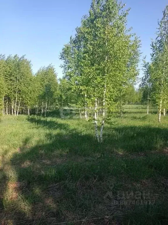 Участок в Кемеровская область, Кемерово Рудничное СНТ,  (10.0 сот.) - Фото 1