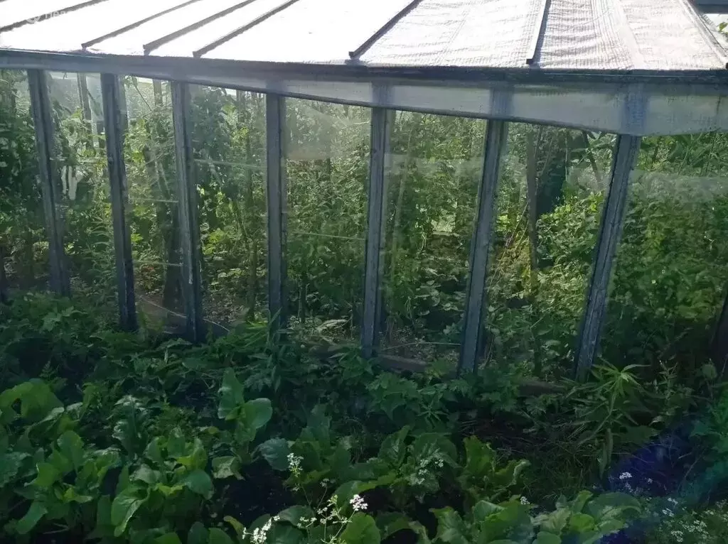 Дом в Череповец, СНТ № 2 ЧМХС, 825 (35 м) - Фото 1