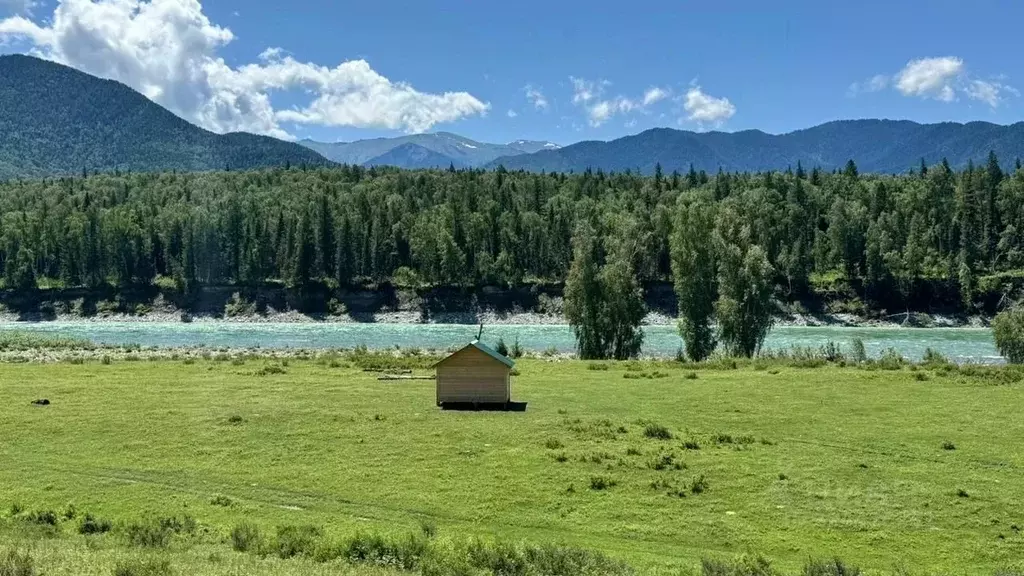 Участок в Алтай, Усть-Коксинский район, с. Тюнгур ул. Лазурная (19.5 ... - Фото 2