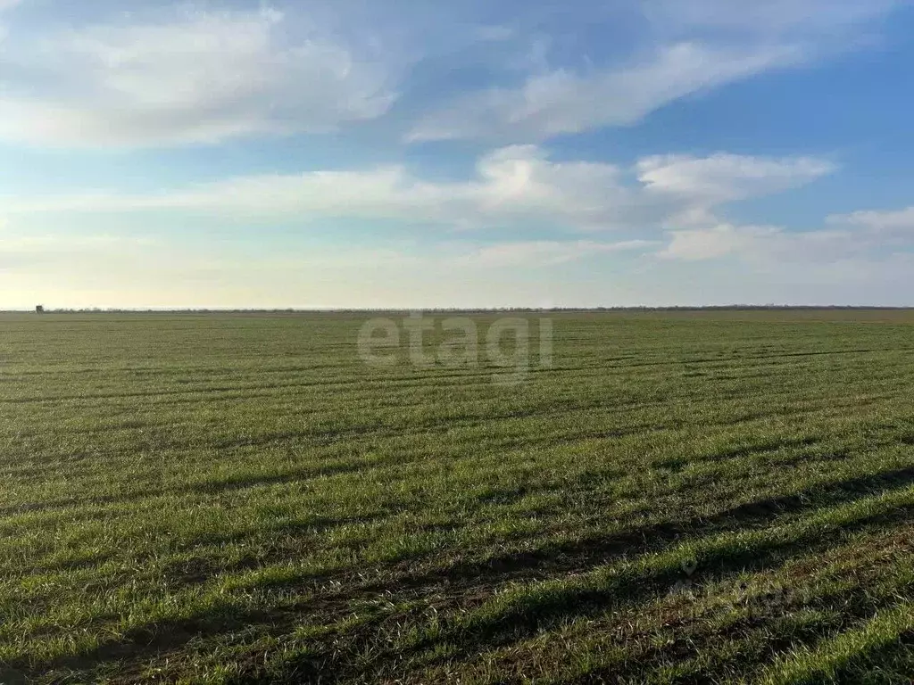 Участок в Крым, Бахчисарайский район, Песчановское с/пос, с. Береговое ... - Фото 1