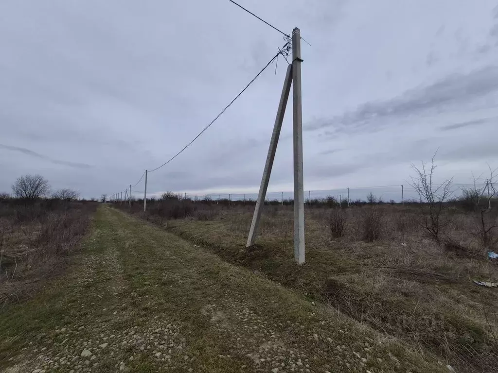 Участок в Краснодарский край, Северский район, Афипское городское ... - Фото 2