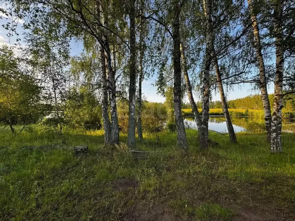 Участок в Тульская область, Венёвский муниципальный округ, КП ... - Фото 2