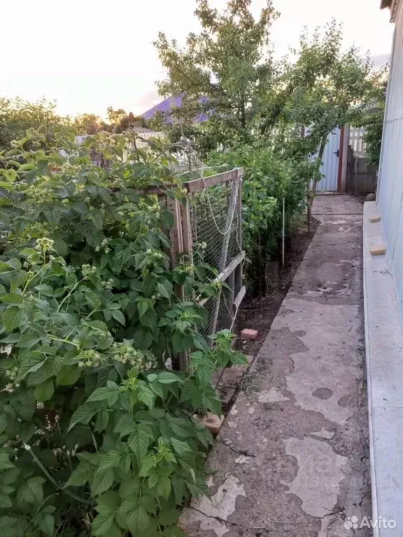 Дом в Белгородская область, Старый Оскол ул. Горького (62 м) - Фото 1