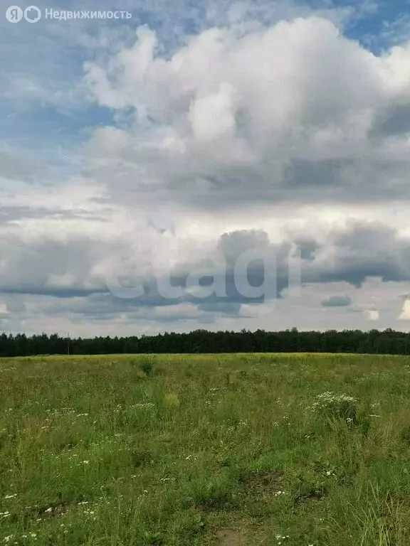 Участок в деревня Летошники, Шоссейная улица (15 м) - Фото 0