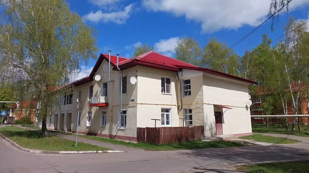 1-к кв. Московская область, Рошаль ул. Урицкого, 45 (30.0 м) - Фото 2