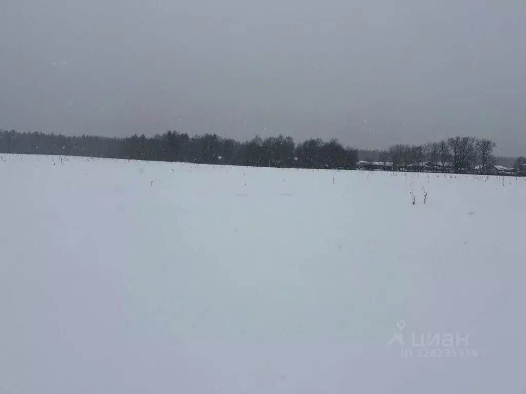 Участок в Московская область, Пушкинский городской округ, д. Артемово  ... - Фото 2