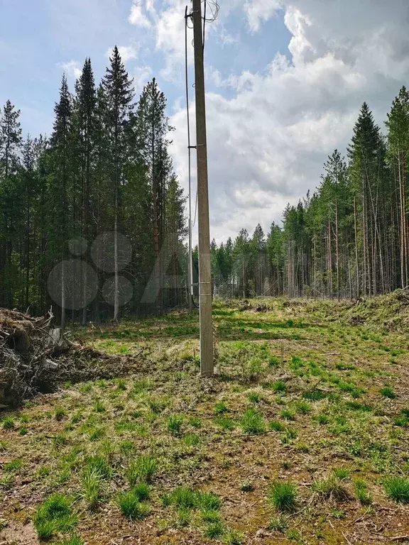 Дом 47 м на участке 15 сот. - Фото 1