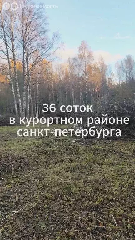 Участок в Зеленогорск, проспект Ленина, 71 (36.1 м) - Фото 2