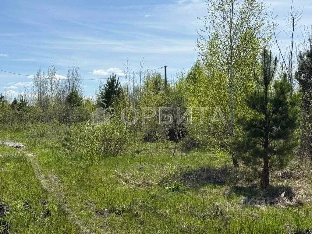 Участок в Тюменская область, Тюменский муниципальный округ, с. Каменка ... - Фото 1