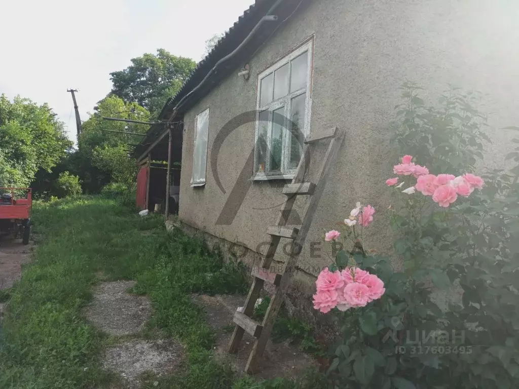 Участок в Краснодарский край, Туапсинский муниципальный округ, с. ... - Фото 0