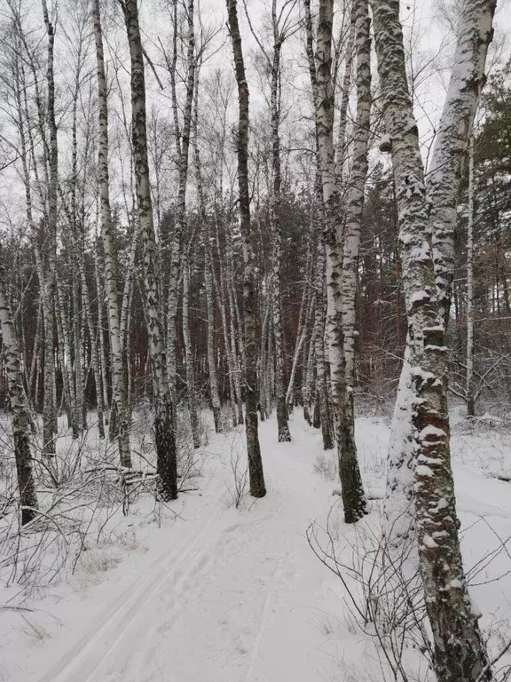 Участок в Белгородская область, Белгород пер. 3-й Магистральный (15.0 ... - Фото 1