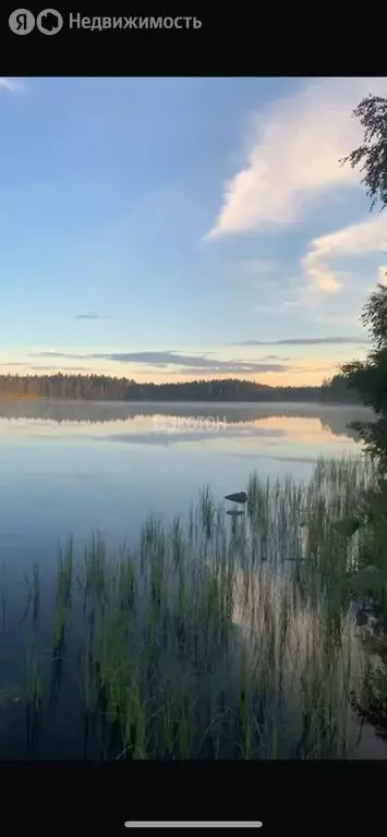 Дом в Приозерский район, Раздольевское сельское поселение, деревня ... - Фото 1