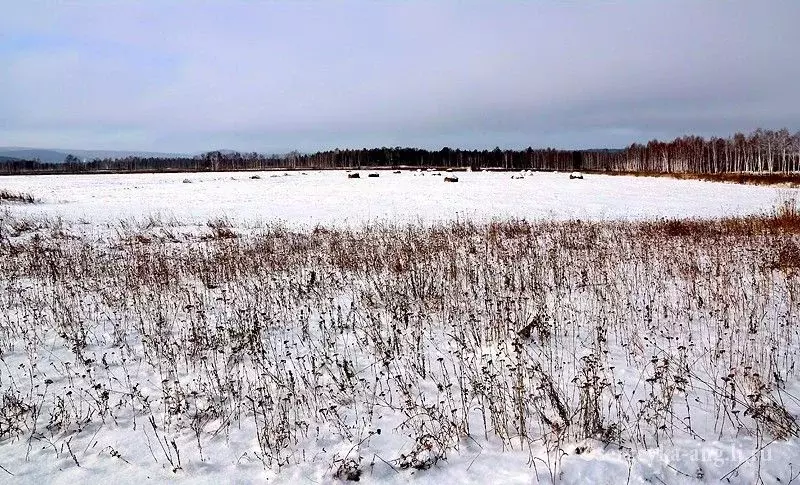 Участок в Омская область, Омский район, Ачаирское с/пос, пос. Речной  ... - Фото 1