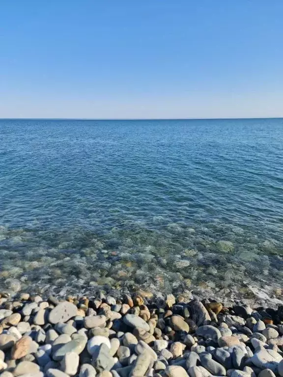 3-к кв. Краснодарский край, Сочи ул. Худякова, 7к3 (70.0 м) - Фото 2