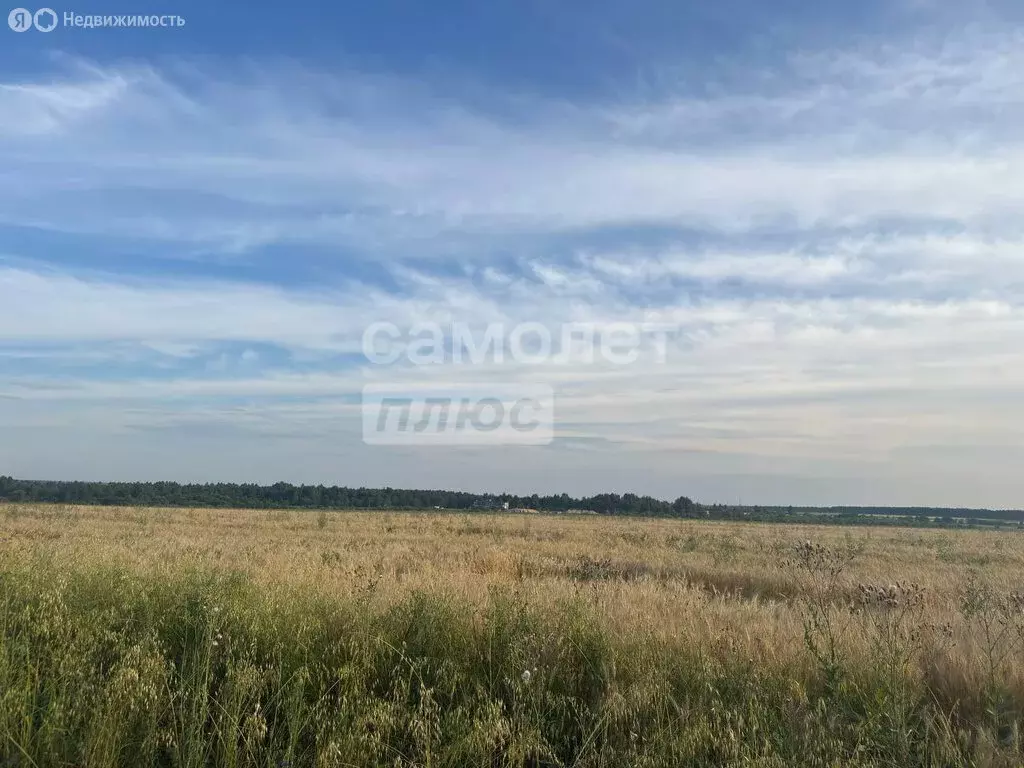 Участок в Медведевский район, Шойбулакское сельское поселение, село ... - Фото 1