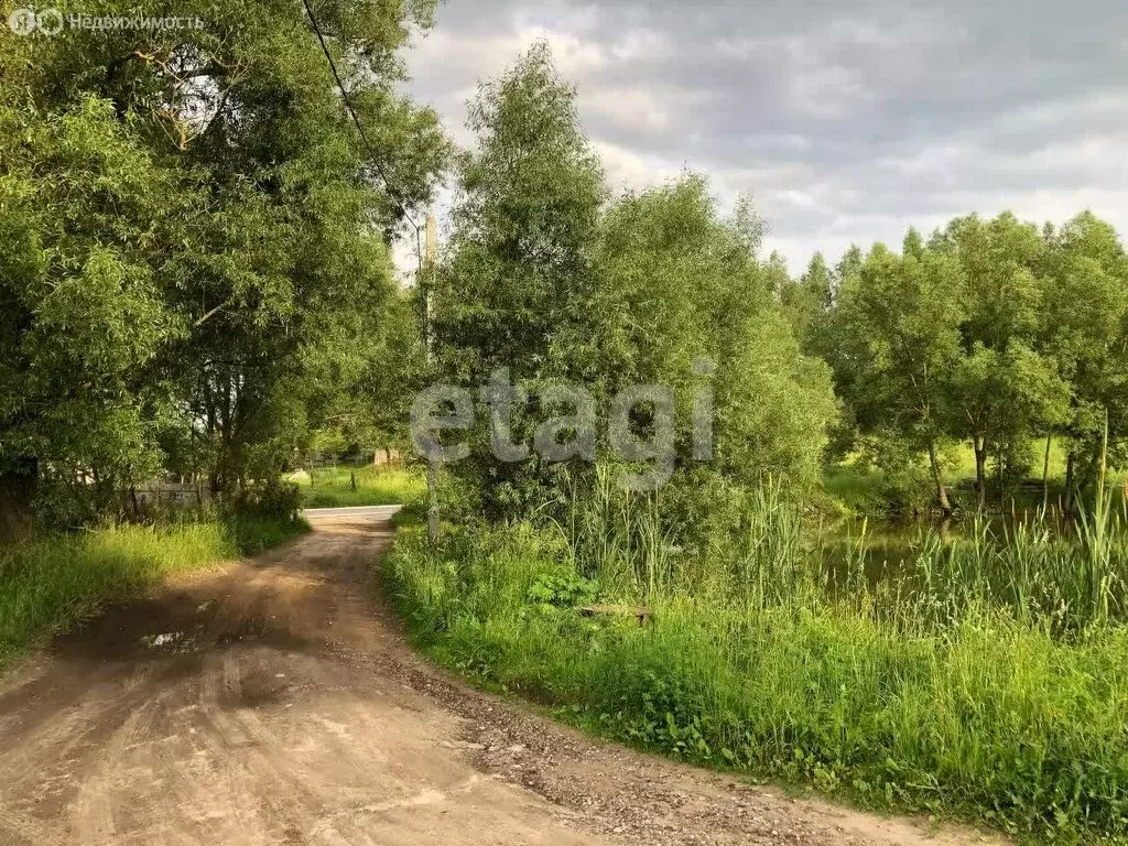 участок в брянский район, супоневское сельское поселение, деревня . - Фото 1