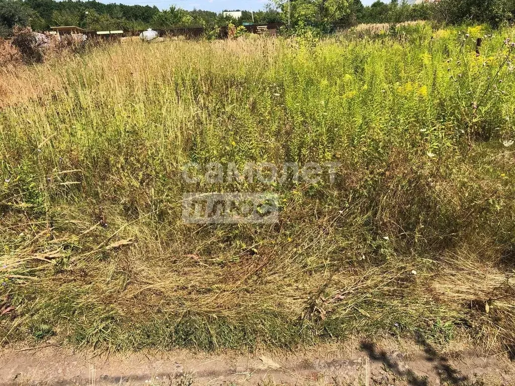 Участок в Липецкая область, Липецк Металлург-6 СНТ, 8/116 (6.0 сот.) - Фото 1