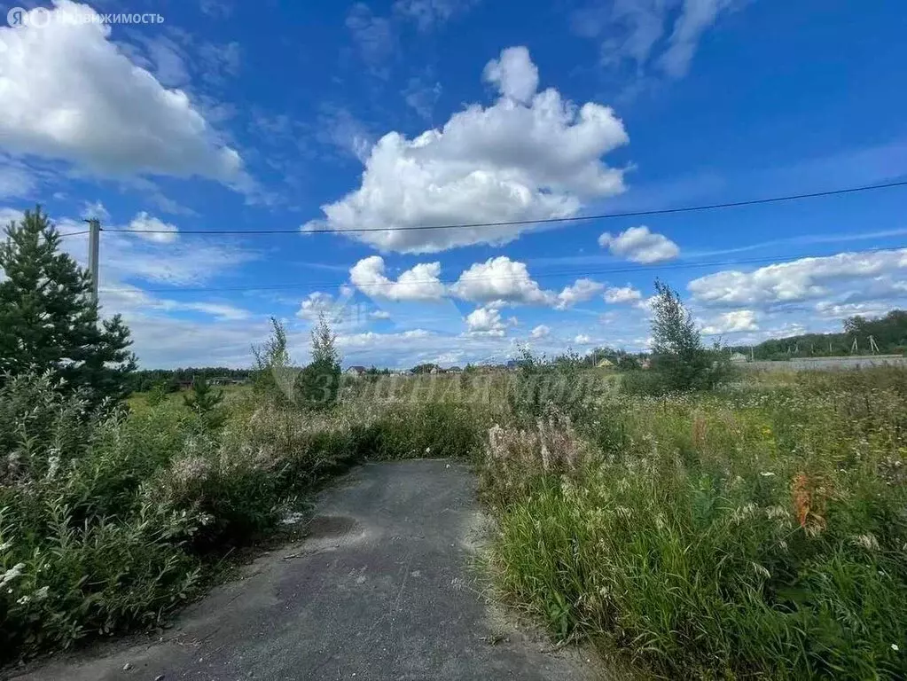 участок в ялуторовский район, село киева (19 м) - Фото 0