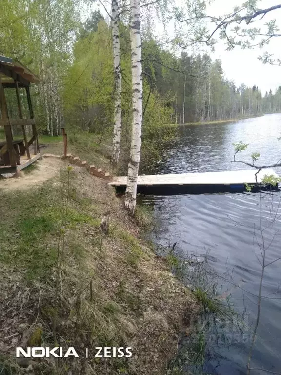 Дом в Новгородская область, Боровичи пос. Полыновка, ул. Лесная, 4 (80 ... - Фото 2
