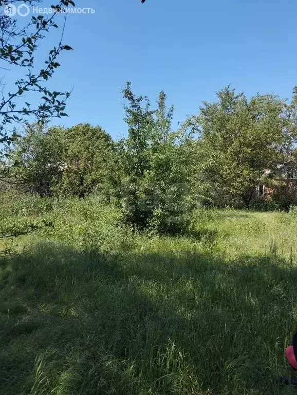 Участок в Мясниковский район, Большесальское сельское поселение, СНТ ... - Фото 2