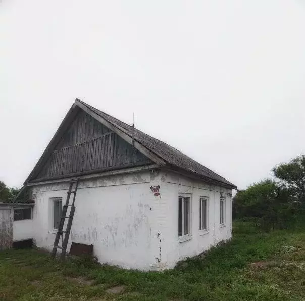 Дом, 59.5 м - Фото 1