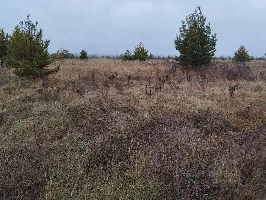 Участок в Татарстан, Алексеевский район, Лебяжинское с/пос, с. Лебяжье ... - Фото 1