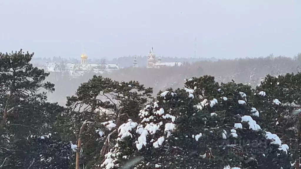 2-к кв. Московская область, Звенигород Одинцовский городской округ, ... - Фото 0