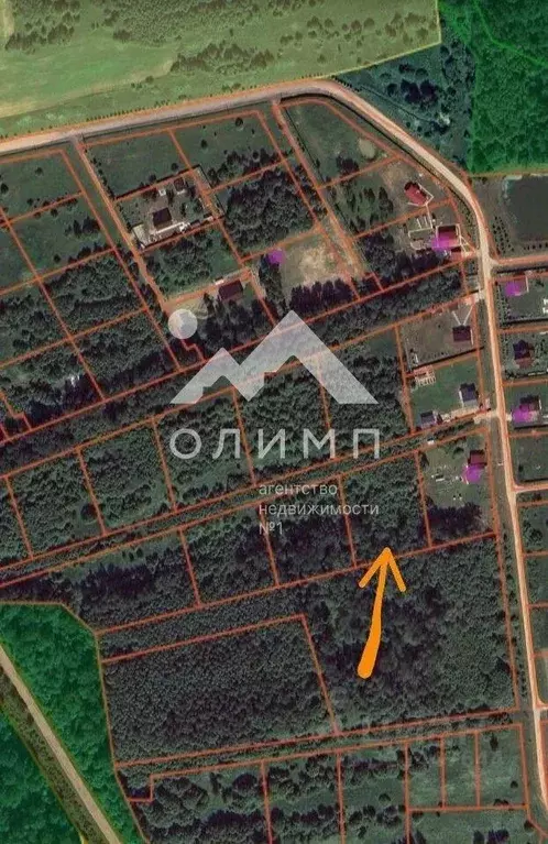 Участок в Ярославская область, Гаврилов-Ямский муниципальный округ, д. ... - Фото 1