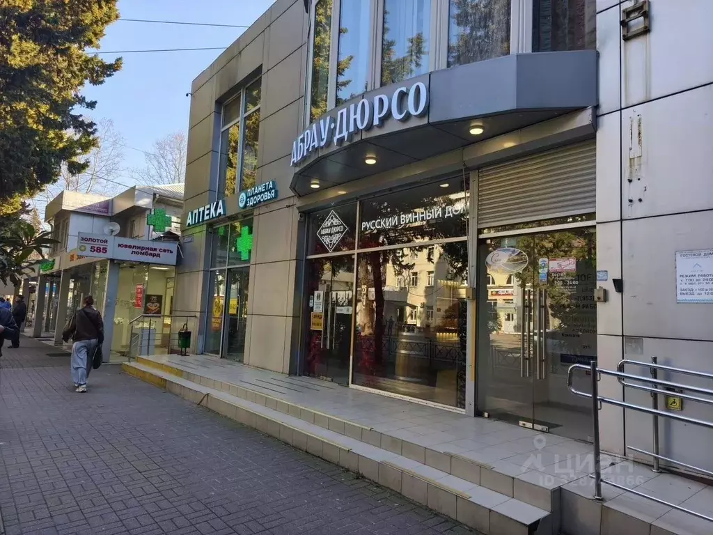 Помещение свободного назначения в Краснодарский край, Сочи Центральный ... - Фото 2