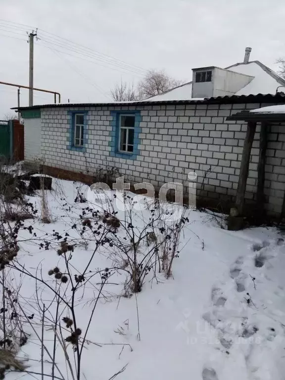 Дом в Белгородская область, Красногвардейский район, Палатовское ... - Фото 0