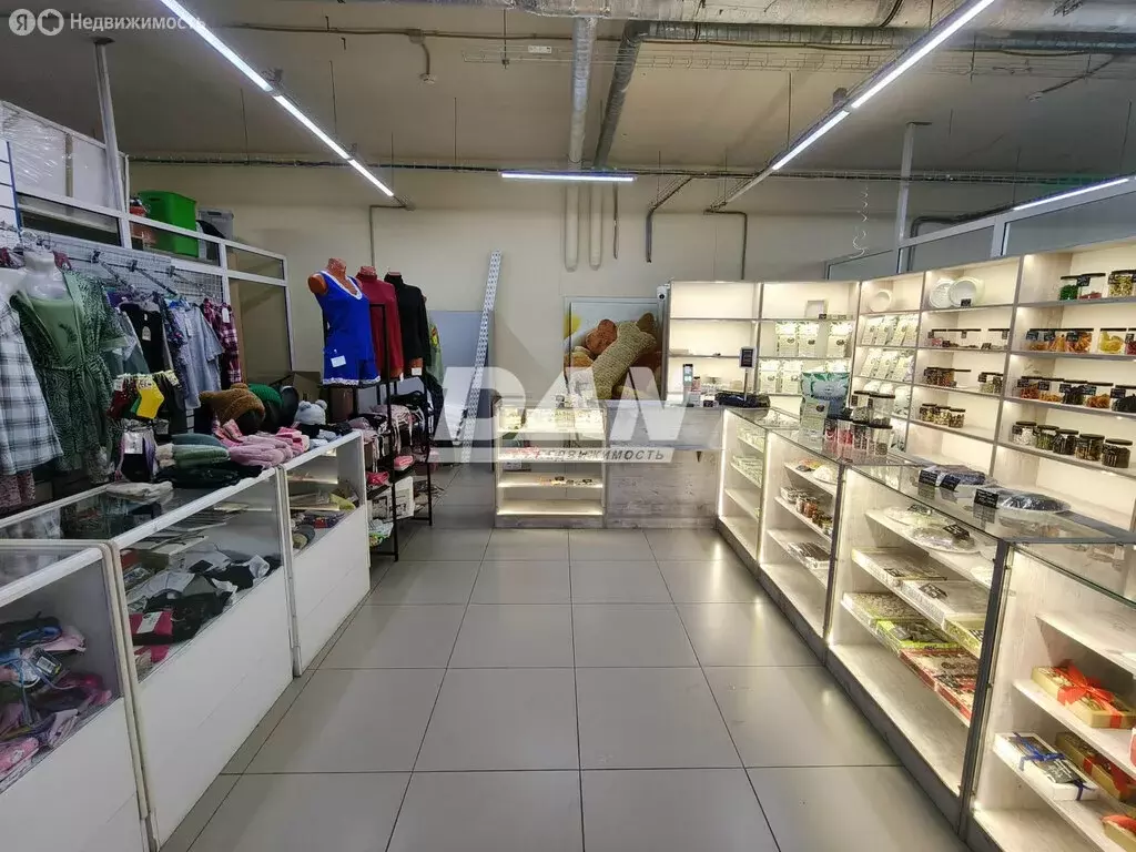 Торговая площадь (74.6 м) - Фото 2