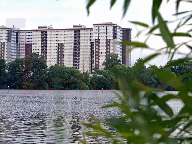Квартира-студия: Старая Купавна, Октябрьская улица, 14А (31 м) - Фото 1