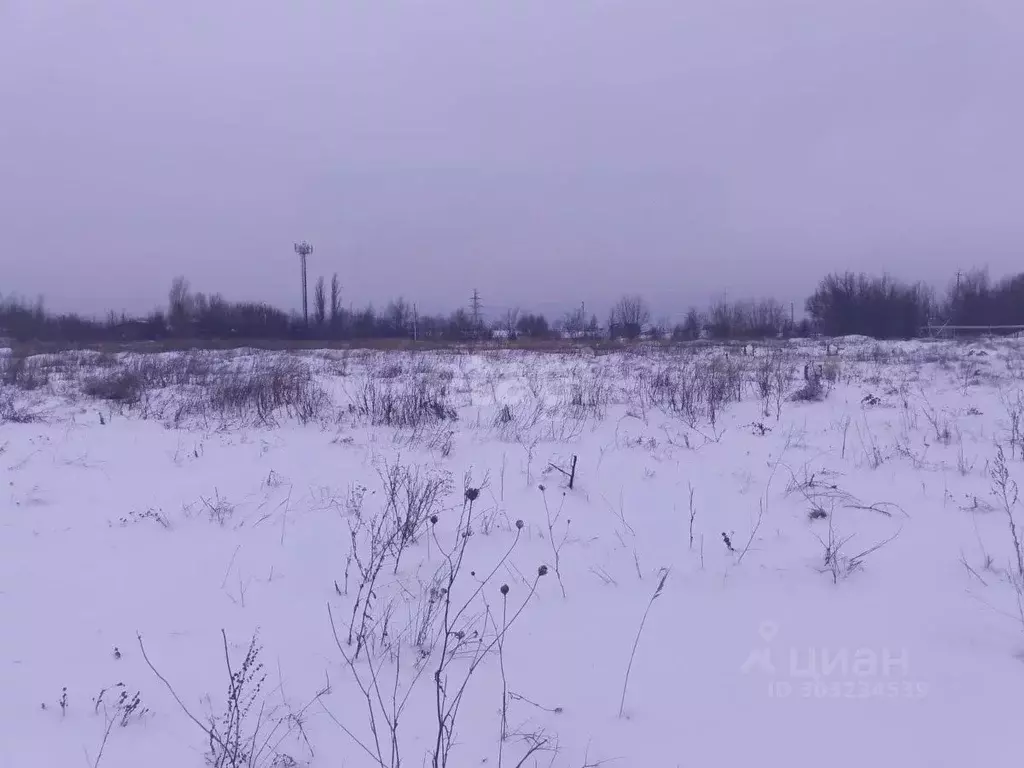 Участок в Саратовская область, Балашов Октябрьская ул. (9.8 сот.) - Фото 0