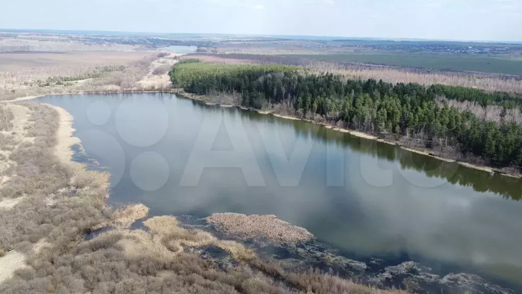 Купить Дом В Сескино Дальнеконстантиновский Район