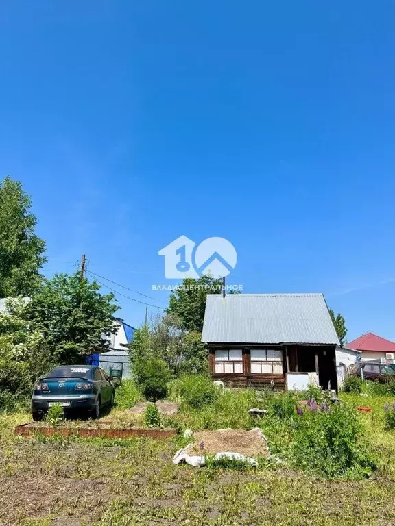 Участок в Новосибирская область, Мошковский район, Ромашка-1 СНТ 91 ... - Фото 2