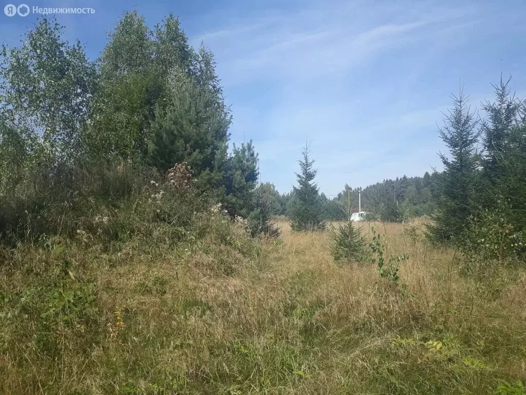 Участок в сельское поселение Маклино, деревня Ильичёвка (11.2 м) - Фото 0