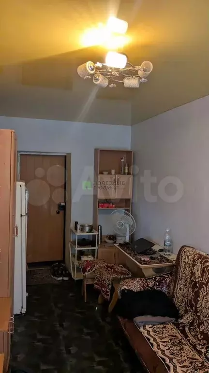 Комната 20 м в 4-к., 5/5 эт. - Фото 1