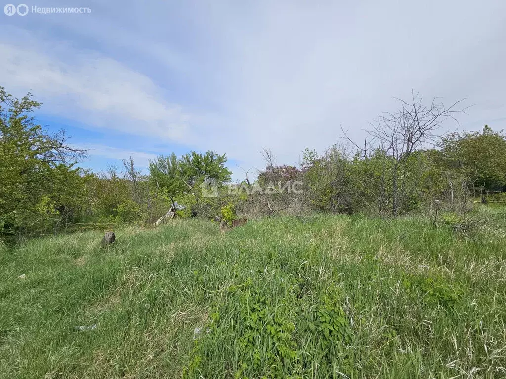 Участок в Волгоград, СТ Лазурное, 44 (5.04 м) - Фото 0