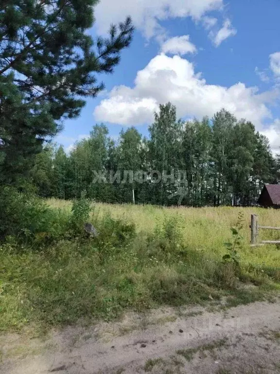 Участок в Томская область, Томский район, с. Курлек Трактовая ул., ... - Фото 0