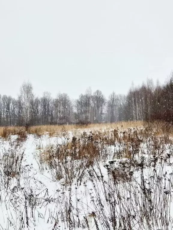 Участок в Тульская область, Тула городской округ, д. Струково проезд ... - Фото 1