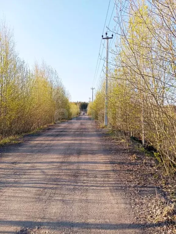 Участок в Ленинградская область, Всеволожский район, Колтушское ... - Фото 1