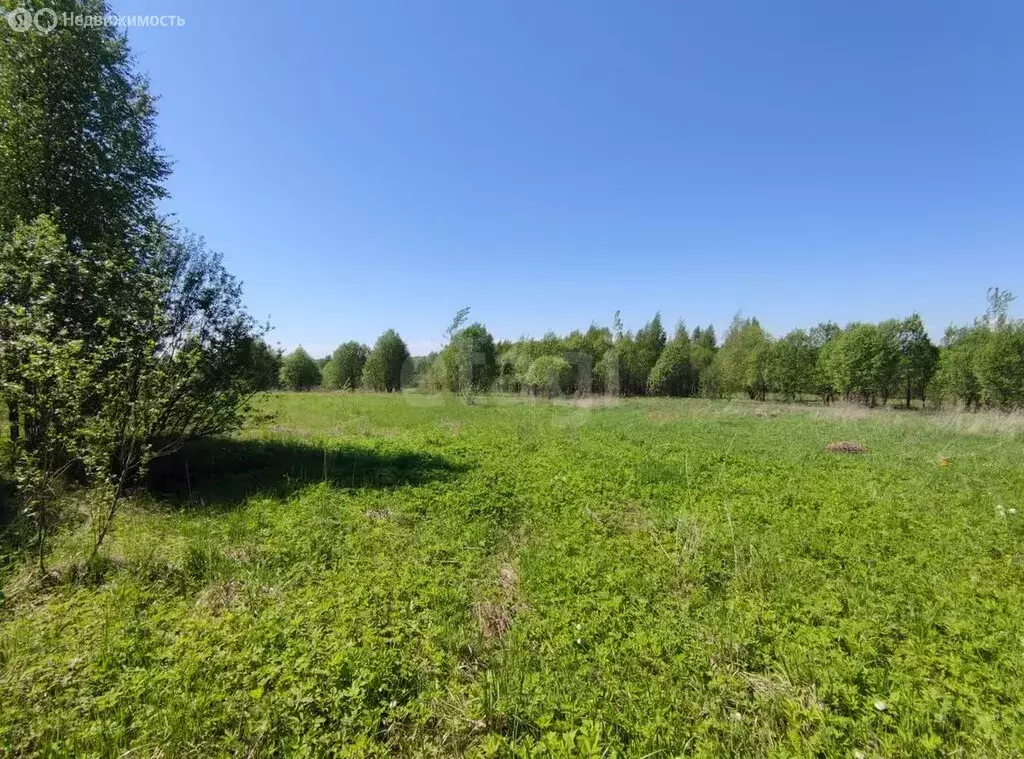 Участок в Вологодская область, Кирилловский муниципальный округ, ... - Фото 0