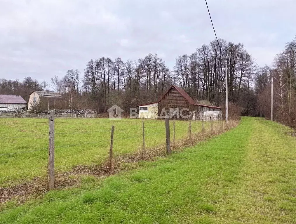 Участок в Калининградская область, Светловский городской округ, пос. ... - Фото 1
