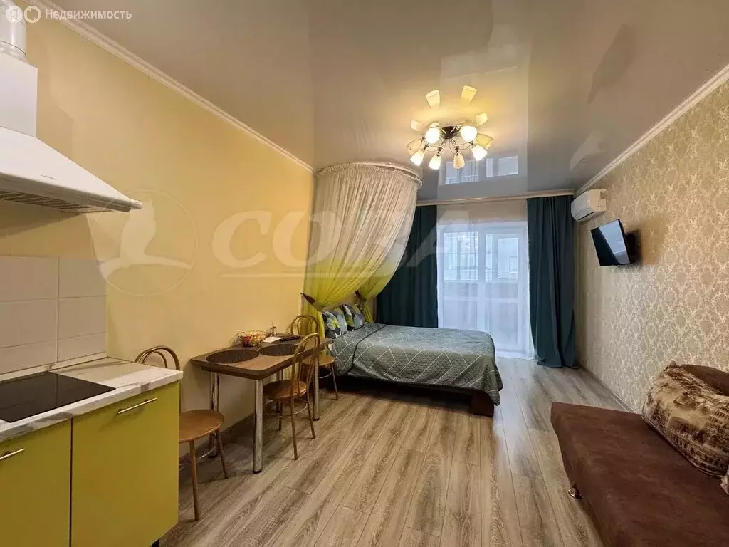 Квартира-студия: Тюмень, улица Дмитрия Менделеева, 2к1 (32.7 м) - Фото 2