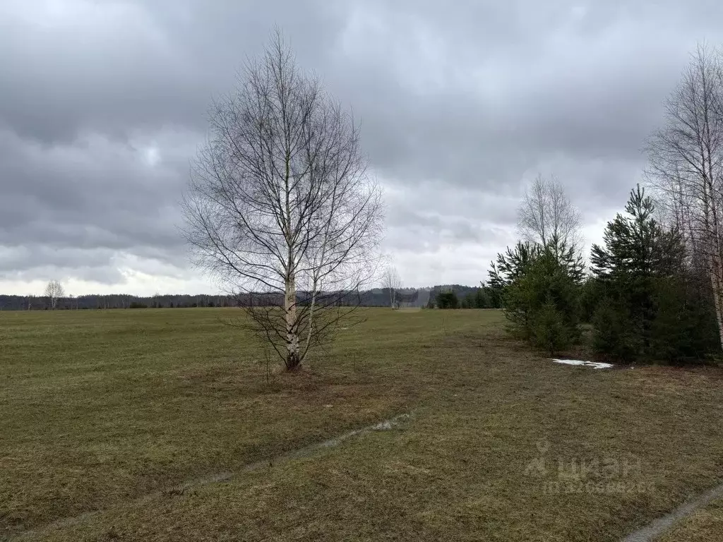 Участок в Пермский край, Ильинский муниципальный округ, д. Плотники ... - Фото 2